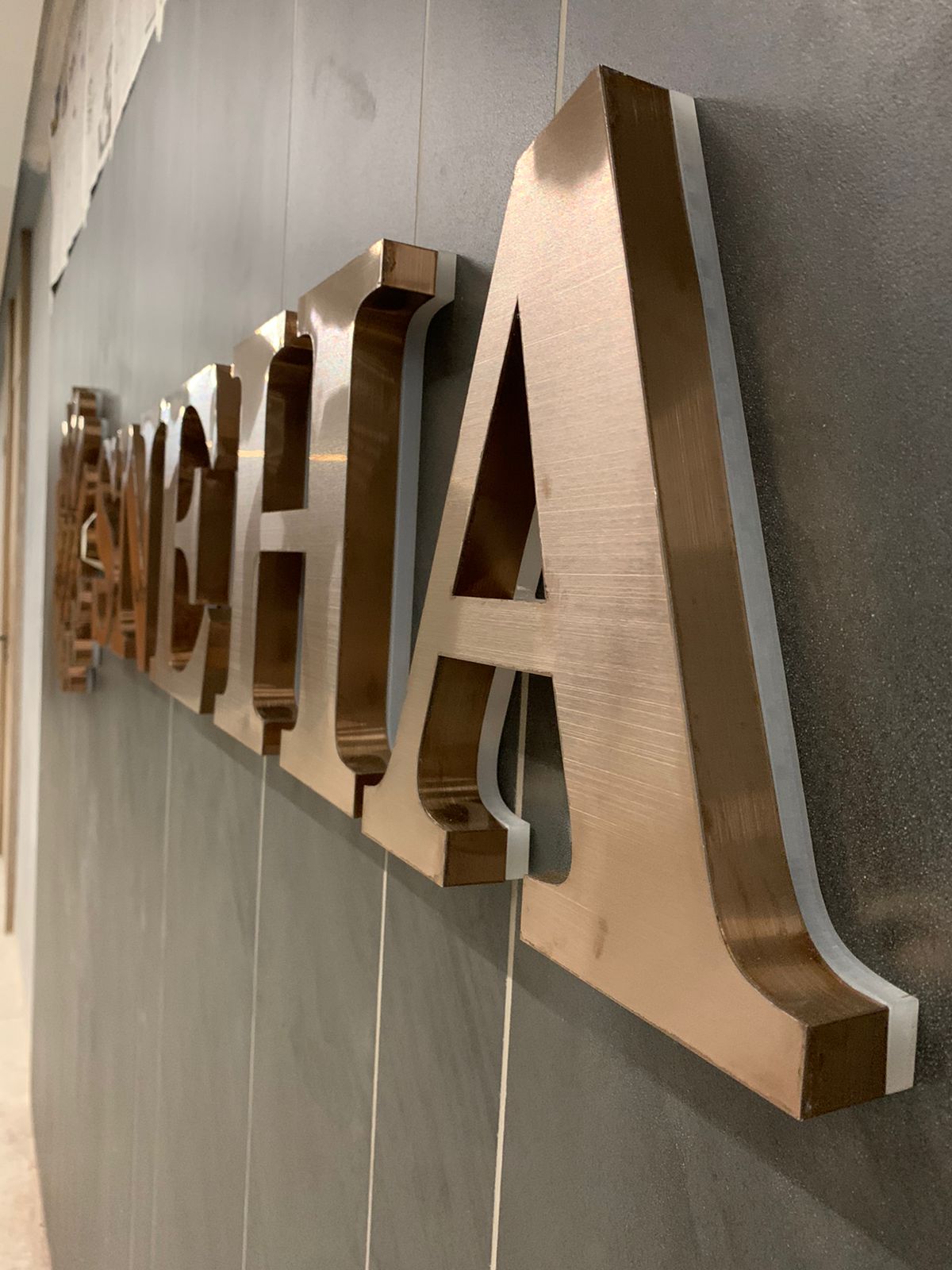 Acrylic Letters & Logos project 15